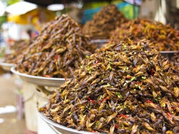 8. Смогли бы попробовать это?