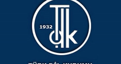 Başbakan'ın uyarısının ardından BTK ve TDK devreye girdi. Türkiye Bilişim Derneği bünyesinde “Özenli Türkçe Çalışma Grubu” oluşturdu.