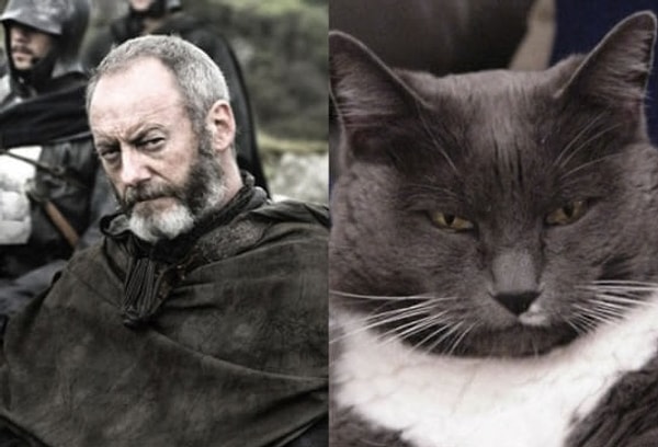 4. Давос Сиворт