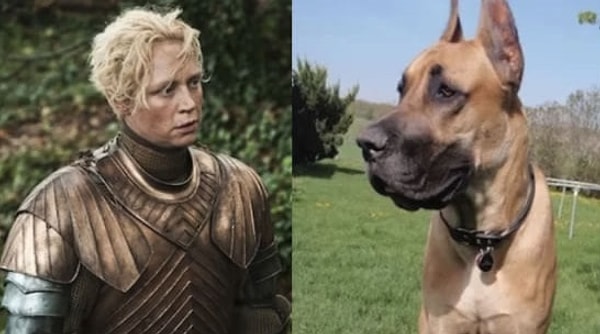 6. Бриенна Тарт