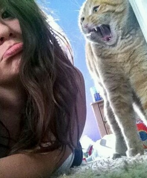 YETEEER!