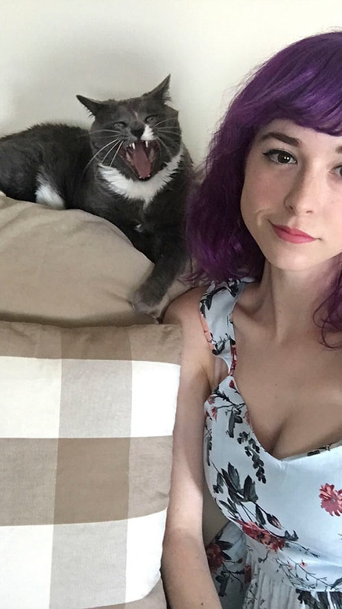 Fotoğraf Çekildiği İnsana 'Senin Abuk Subuk Selfielerinde Olmak İstemiyorum' Diyen 26 Kedi