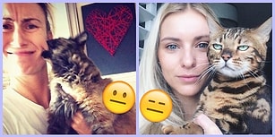 Fotoğraf Çekildiği İnsana 'Senin Abuk Subuk Selfielerinde Olmak İstemiyorum' Diyen 26 Kedi