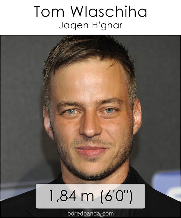 37. Том Влашиха