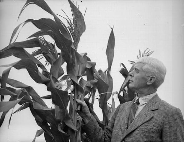 2. Постойте, а что использовали люди до появления туалетной бумаги?! 🤔