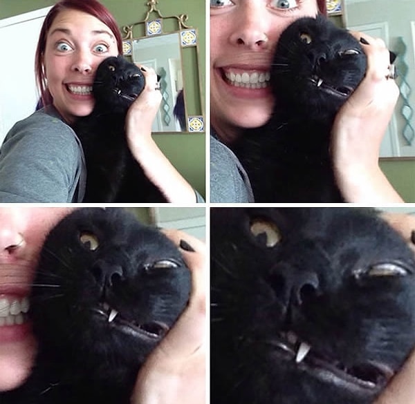 14. Вы только всмотритесь в эту полную страдания мордочку