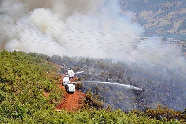 "Türkiye orman yangınlarına müdahalede dünyada ilk sıralarda"