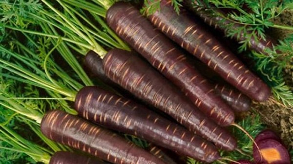 8. Что на фотографии?