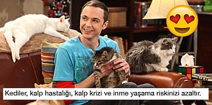 Söylenenlere Aldırmayın: Aslında Hepimiz Sağlığımız İçin Kedili Kadın Olmalıymışız!