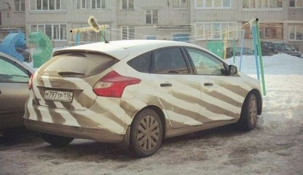 14. Будто на сафари попал