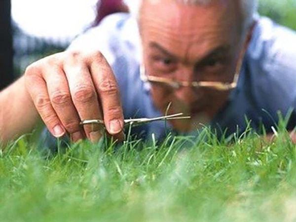 Пограничное состояние — около 70% ОКР