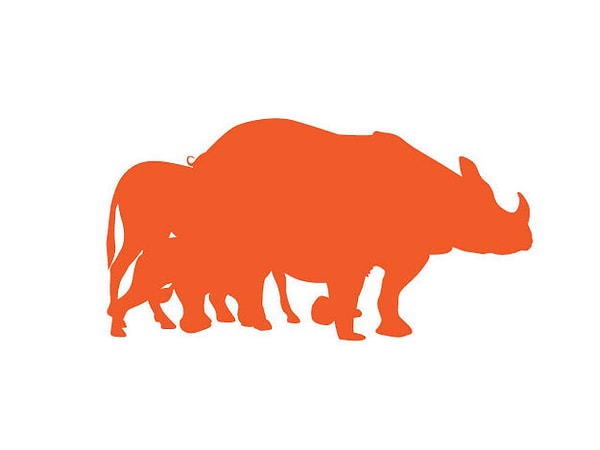 7. Сколько животных вы видите на картинке?