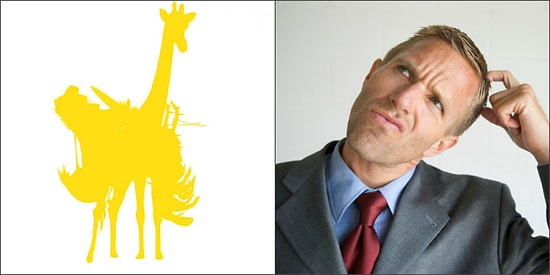 Спорим, вы не сможете набрать 9/9, разглядев ВСЕ силуэты животных в этом тесте?