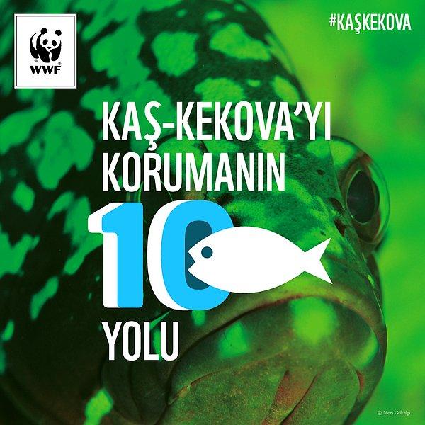 Kaş-Kekova'da hayat var! Sahip çık, devam etsin! #KaşKekova
