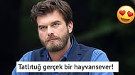 Sadece Görüntüsüne Vurulmadık! Kıvanç Tatlıtuğ'un Çok Kral Bir İnsan Olduğunun 13 Kanıtı!