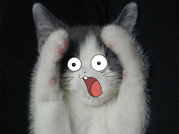 7. Газировка "без сахара" тоже содержит подсластители