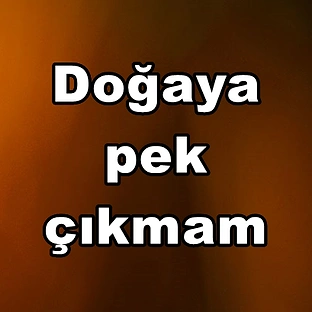Bir kişinin hisleri Bir kişinin hisleri