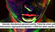 İnsan Vücudu Hakkında Okullarda Öğretilmeyen 22 Gerçek