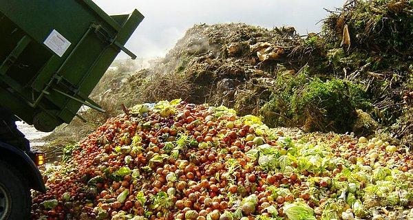 Dünyada yaklaşık 842 milyon insanın kronik olarak yetersiz beslendiğini düşünürsek aslında çöptekiler insanların hayatta kalmasına yetiyor da artıyor…