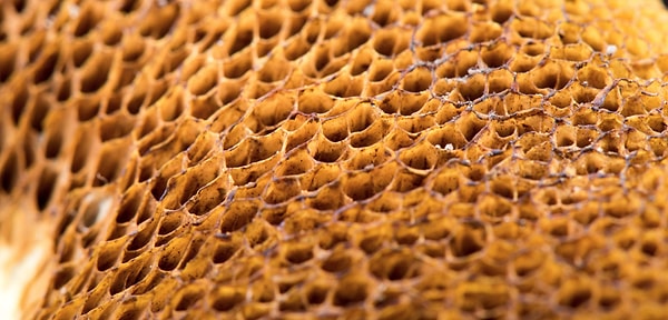 9. Вы близки к концу. Что насчет этого изображения?