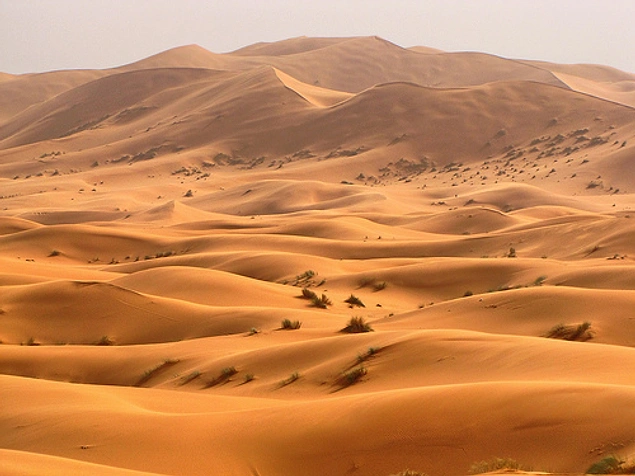Dünyadakı səhralar qlobal istiləşmə səbəbindən artır.