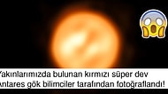 Dünya'da Keşifler Bitmiyor: Geride Bıraktığımız Ağustos Ayında Ortaya Çıkan 19 Yeni Bilgi!