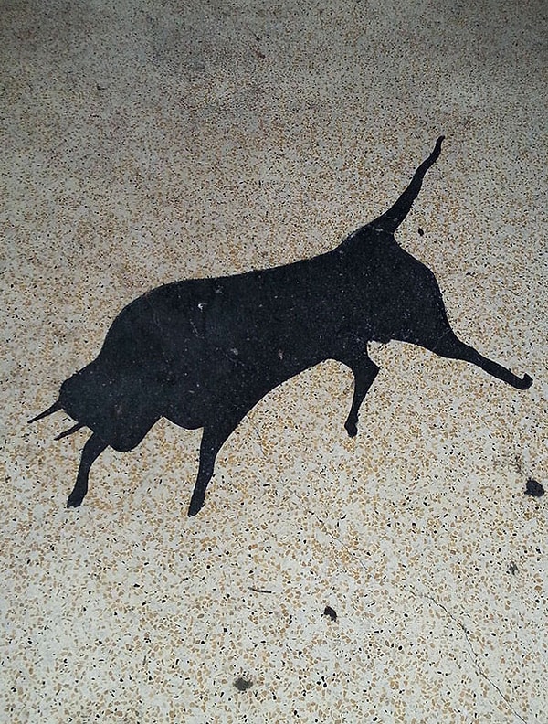 10. "Очертания быка появились из разлитой нефти"