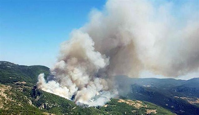 Aktarılan son bilgilere göre yangın kontrol altına alındı.