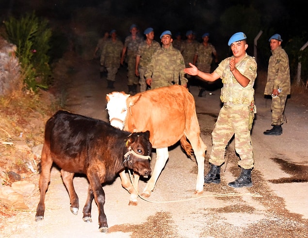 Köyü terk etmek istemeyen ve hayvanlarını kurtarmaya çalışan bazı vatandaşlar ise jandarma ekipleri tarafından bölgeden çıkarıldı.