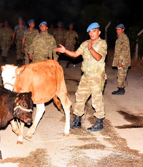 Köyü terk etmek istemeyen ve hayvanlarını kurtarmaya çalışan bazı vatandaşlar ise jandarma ekipleri tarafından bölgeden çıkarıldı.