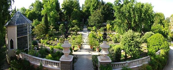 2. Botanik Bahçesi (Orto Botanico), Padua