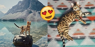 Atıldığı Maceralarla ve Seyahat Fotoğraflarıyla Hepimizi Kıskandıran Gezgin Kedi Suki!