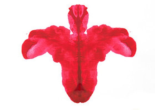 Не ищите тайного смысла там, где его нет, и не зацикливайтесь на словах.