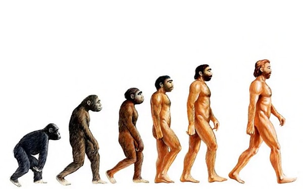 9. Люди произошли от обезьян