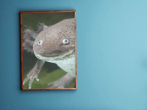 1. Итак, начнём! Ровно ли висит эта картина?