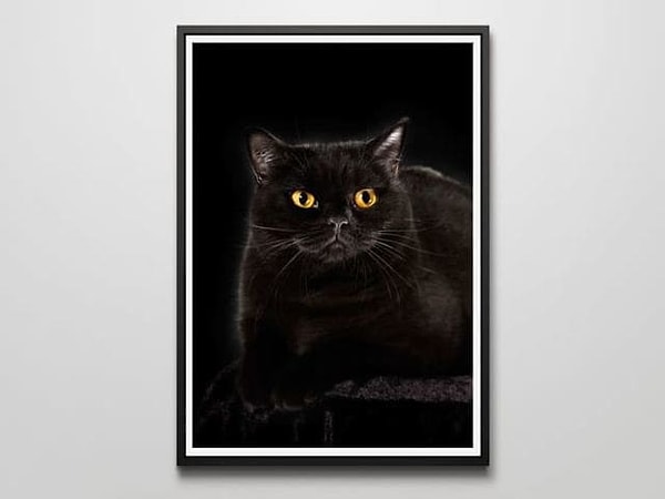 3. Что думаете об этой картине с котом?