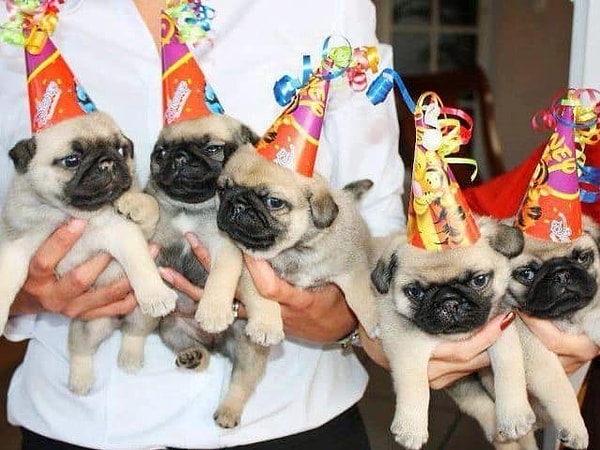 7. Что ты обычно даришь другу на день рождения?