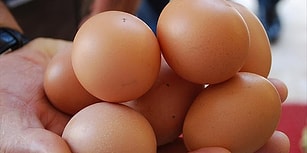 Damgasız Diye: Pazarda 15 Yumurta Satan Çiftçiye 15 Bin Lira Ceza!