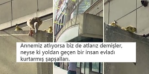 Geride Bıraktığımız Haftada Twitter'da Elde Ele Dolaşan En İyi 23 Videolu Tweet
