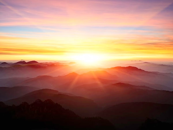 5. Какой цвет первым бросился вам в глаза?