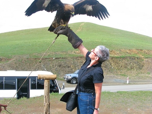 16. Познакомиться с настоящим орлом