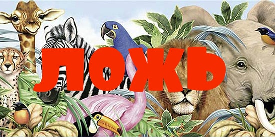 Вы и поверить не могли, что эти 10 фактов о животных - полная чепуха