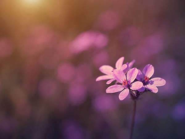 7. Долго не думайте, просто выберите цвет...