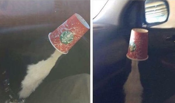 8. Кажется, что стакан взлетает, не так ли?