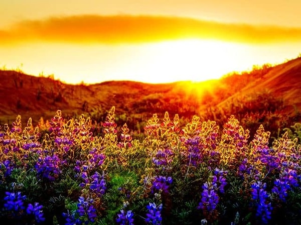 1. Итак, выберите тот цвет, который сразу обратил на себя ваше внимание: