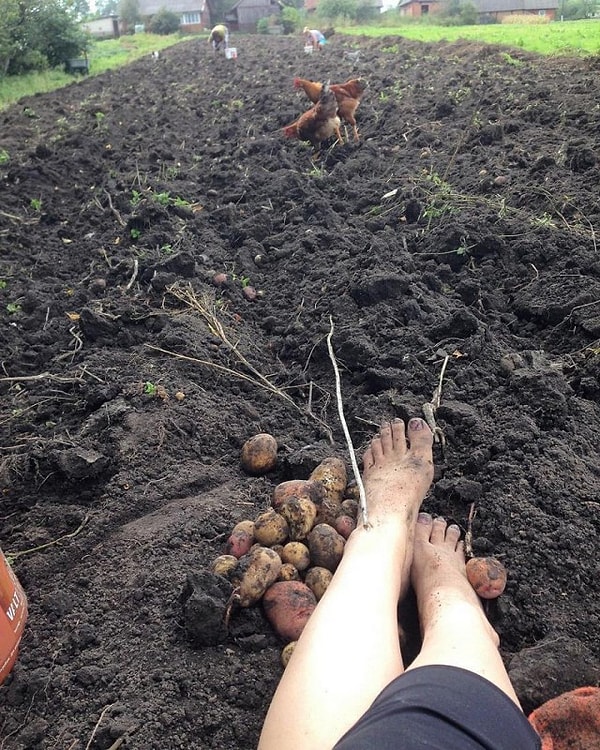 5. Релакс по-белорусски, он такой!