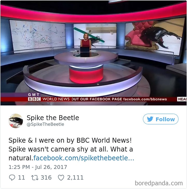 13.