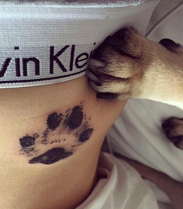 6. Пес одобряет