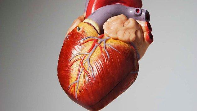 2. Kalp yetmezliğinin birden fazla çeşidi var.