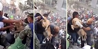 Meksika Depreminde Saatler Sonra Enkazın Altından Köpek Çıkınca Büyük Sevinç Yaşandı